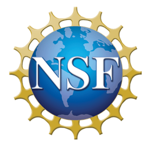 NSF logo shaped like a globe with golden rays around it.