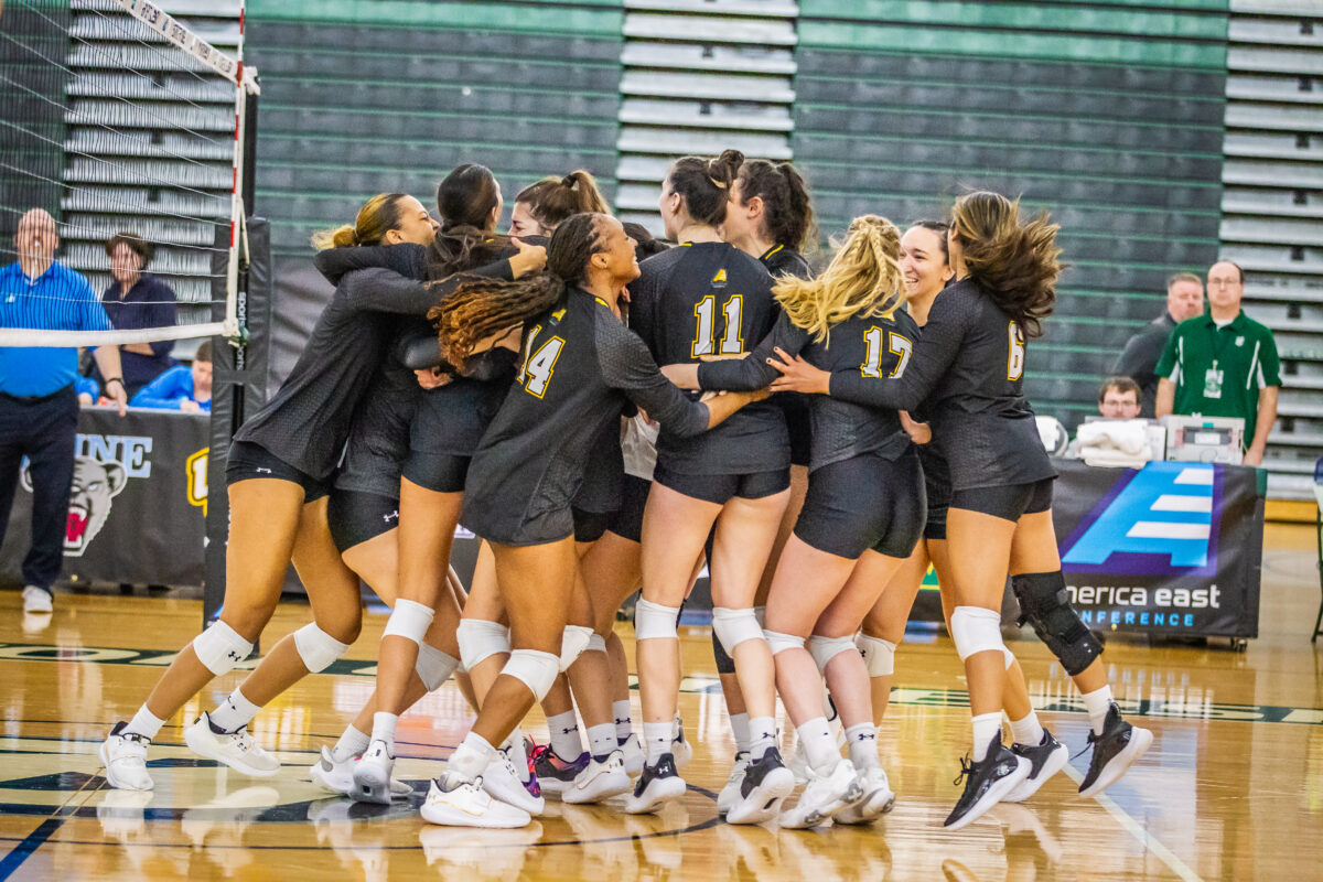 UMBC volleyball players cheering and celebrating on the court