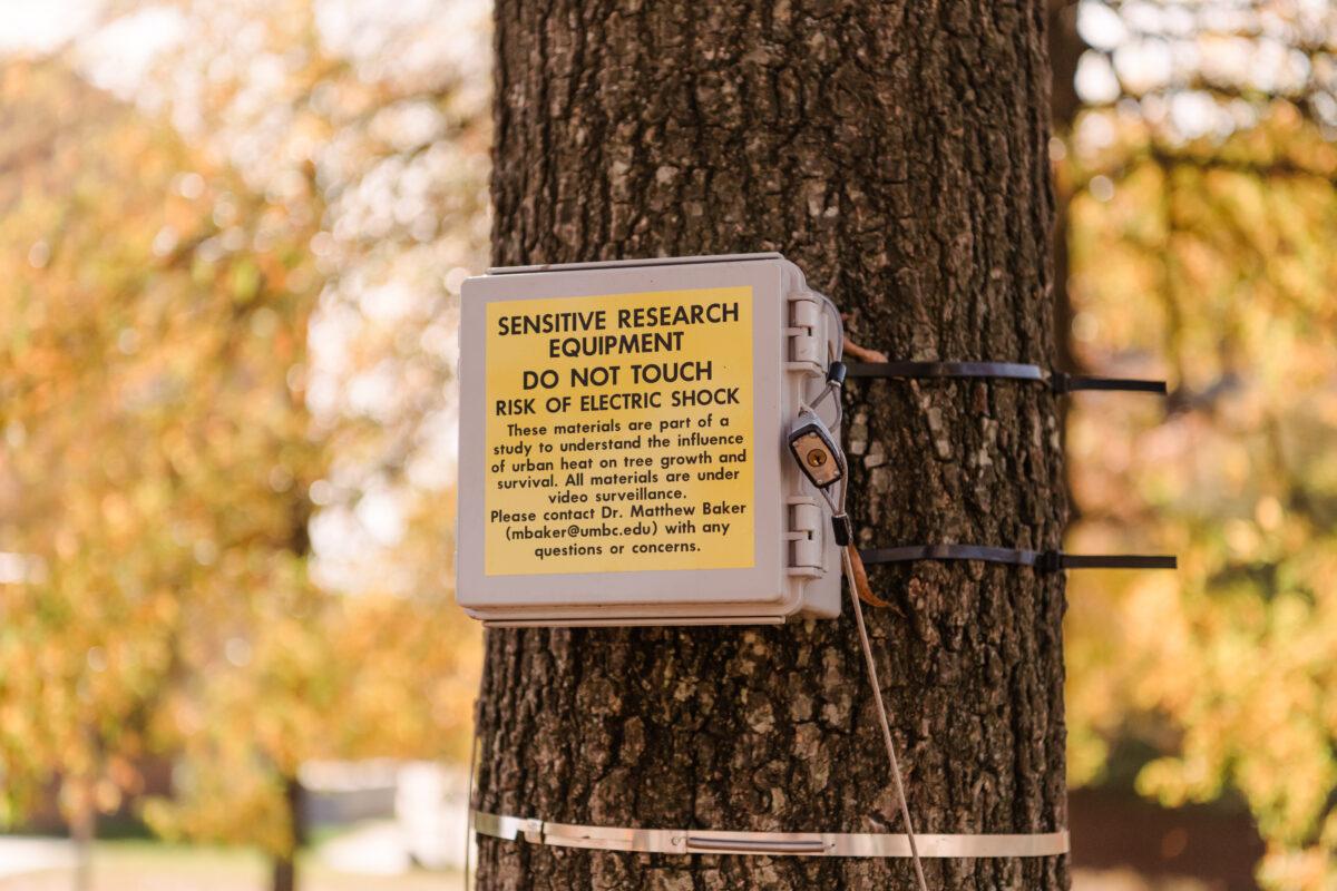 A gray metal box about 8 inches on a side attached to a tree trunk via wires. A yellow label reads, "Sensitive Research Equipment. Do Not Touch. Risk of Electric Shock." Yellow fall leaves in the background.