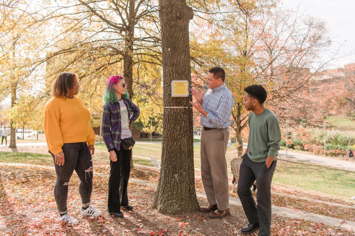 Four people stand on either side of a tree trunk with a research box attached to it. One is motioning toward the box, explaining something. UMBC Library Pond is in the background.