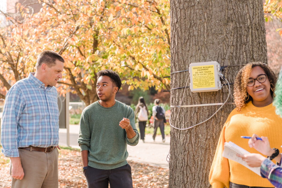 Two people stand to the left of a tree with a metal box and yellow label attached to the trunk. Another person stands to the right, speaking to someone off camera.