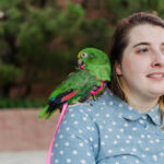 Elle Kreiner sits and talks while Chicken, an amazon parrot, preens himself
