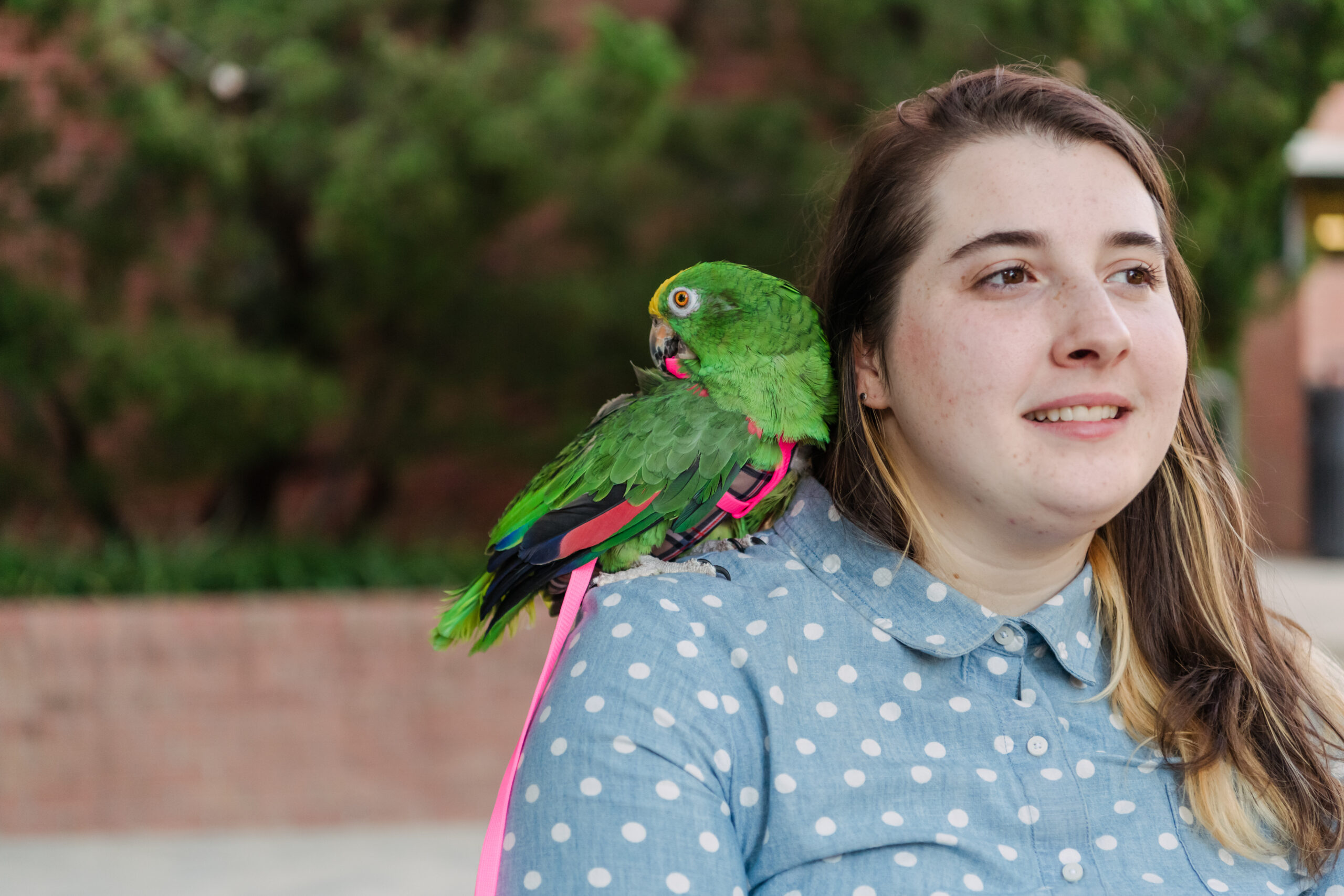 Elle Kreiner sits and talks while Chicken, an amazon parrot, preens himself