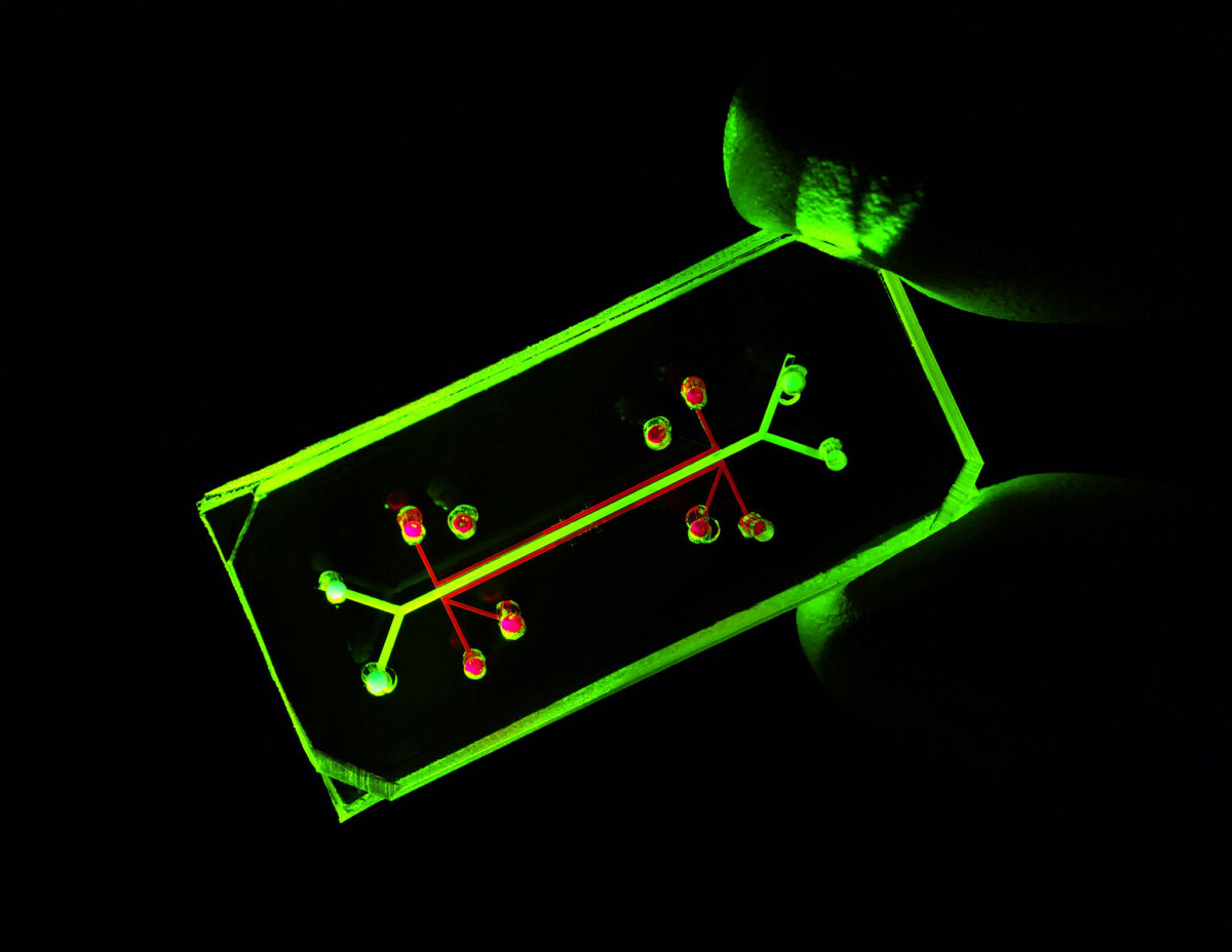 A glowing green rectangular outline on a black background. Inside the rectangle are a few more glowing green lines an red dots. https://www.flickr.com/photos/64860478@N05/27460678507/