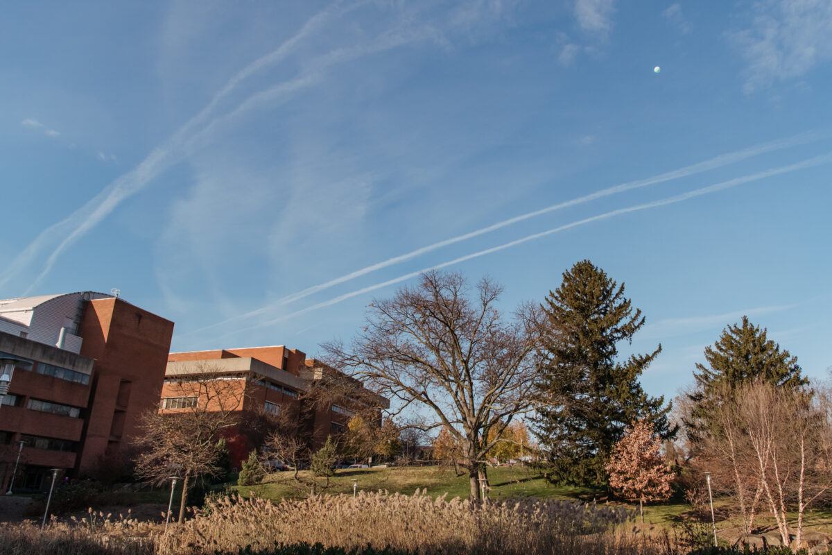 various campus shots with different balloons in the sky