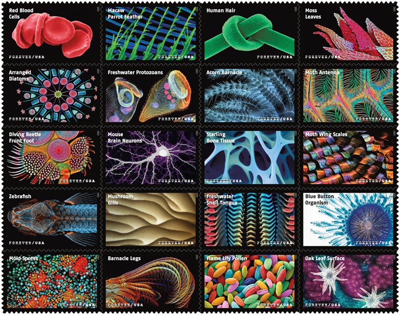A sheet of 20 stamps, each with a black background and brightly colored images as viewed through a microscope
