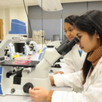 Two women scientists look at something with a microscope