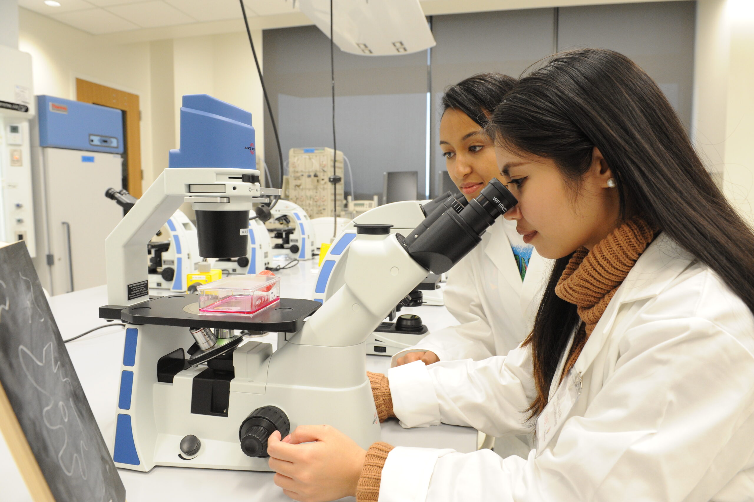 Creating pathways for UMBC student success in Maryland’s growing biotech industry