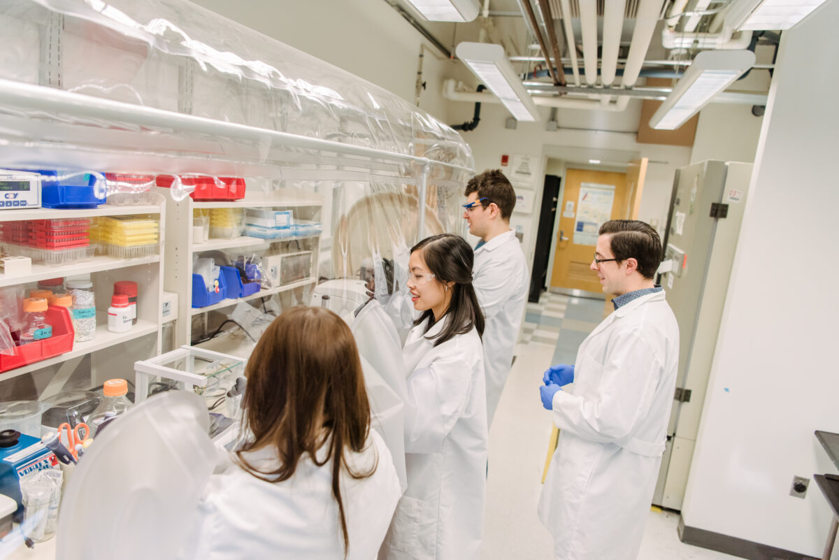 A brightly lit laboratory. Three students in white lab coats work at a fume hood on the left. Their professor observes, a step back from the hood. 