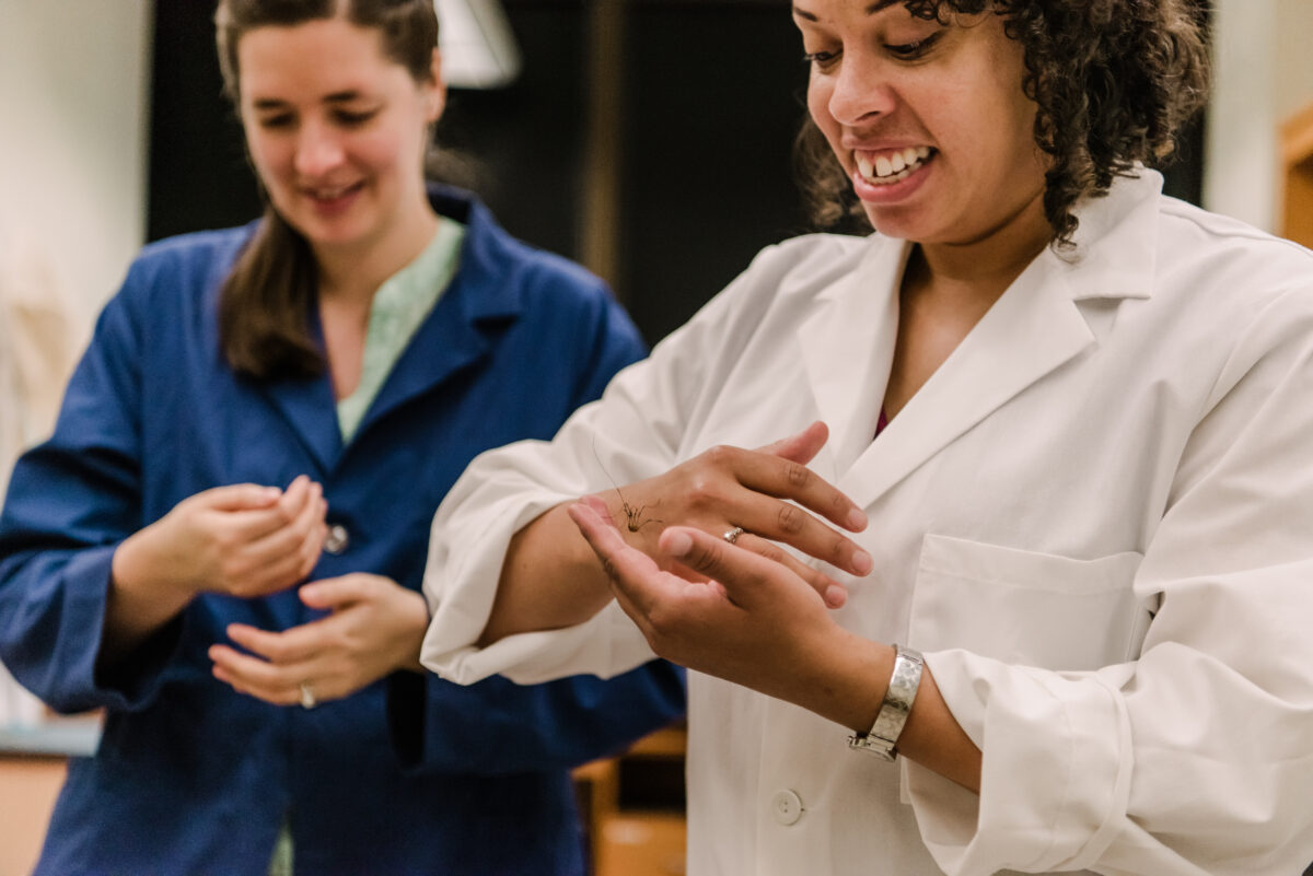 Two women, one in a white lab coat, one in blue, each holding a daddy longlegs. 