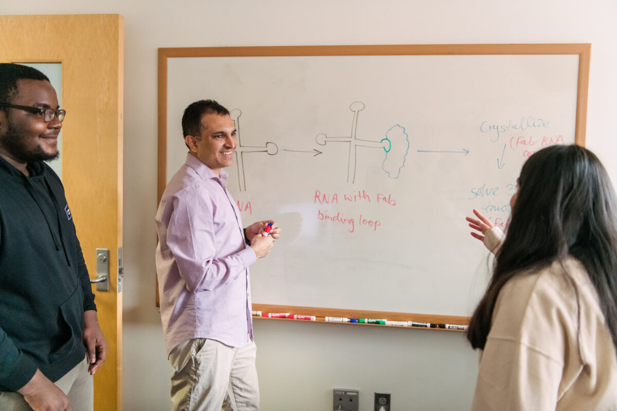Professor standing smiling at a whiteboard interacting with a student. Another student looks on. Whiteboard shows basic diagrams of RNA "cloverleaf" structures that are found in enteroviruses. 