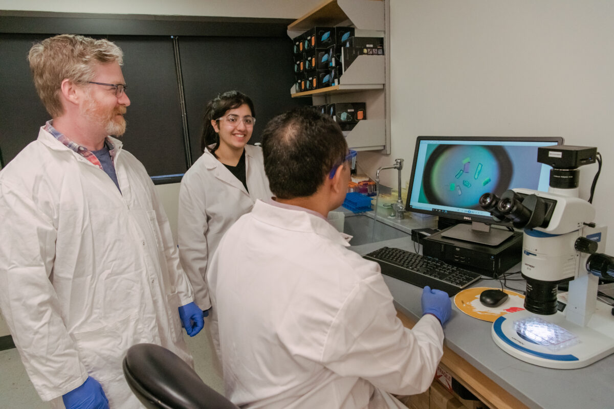 Three people in lab coats, one seated, all looking at a computer showing blue-green and purple crystal prisms.