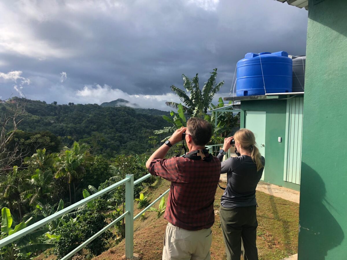 Two people (a faculty member and a student learning research skills) stand on a balcony looking through binoculars out at a rainforest