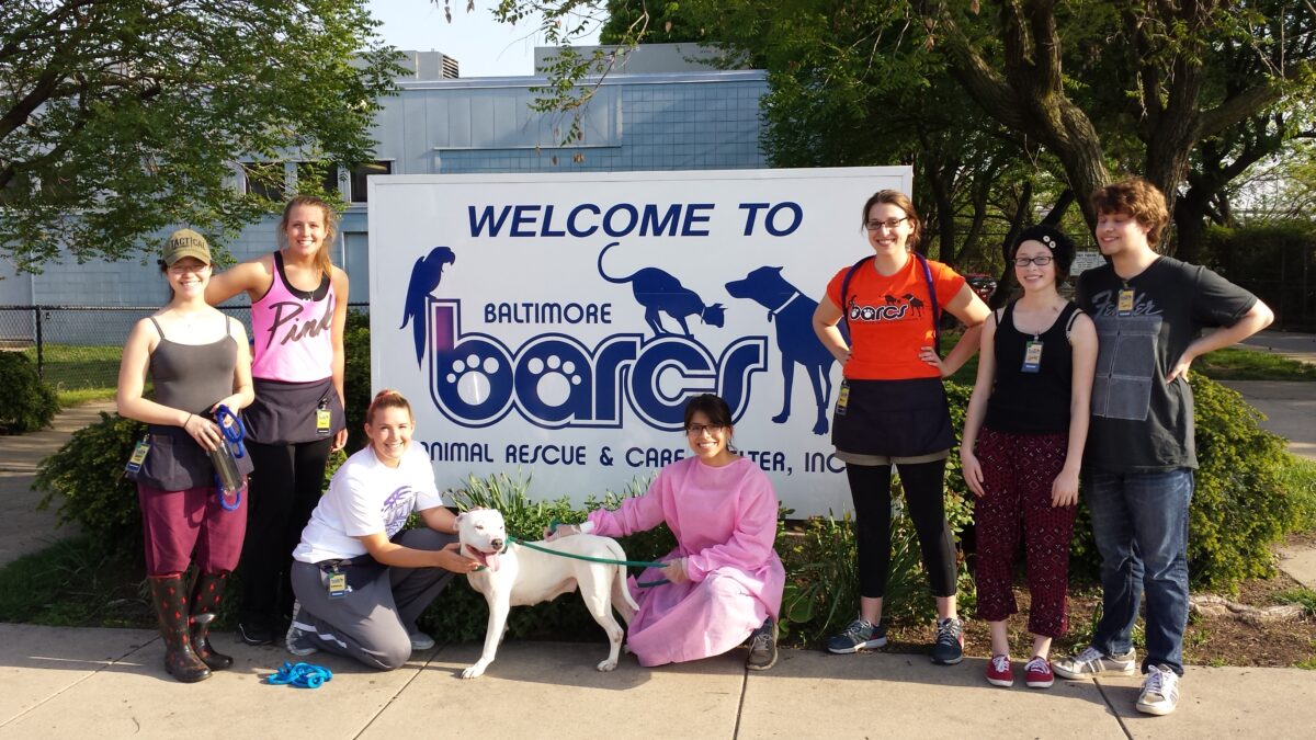 Students gathered with a white dog, in front of a sign that reads Welcome to Baltimore BARCS Animal Rescue.