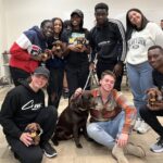 UMBC students (community builders), some standing and some kneeling and sitting, holding a stuffed dog toy. In the center of the photo is a brown dog, Chip, UMBC's campus comfort dog.