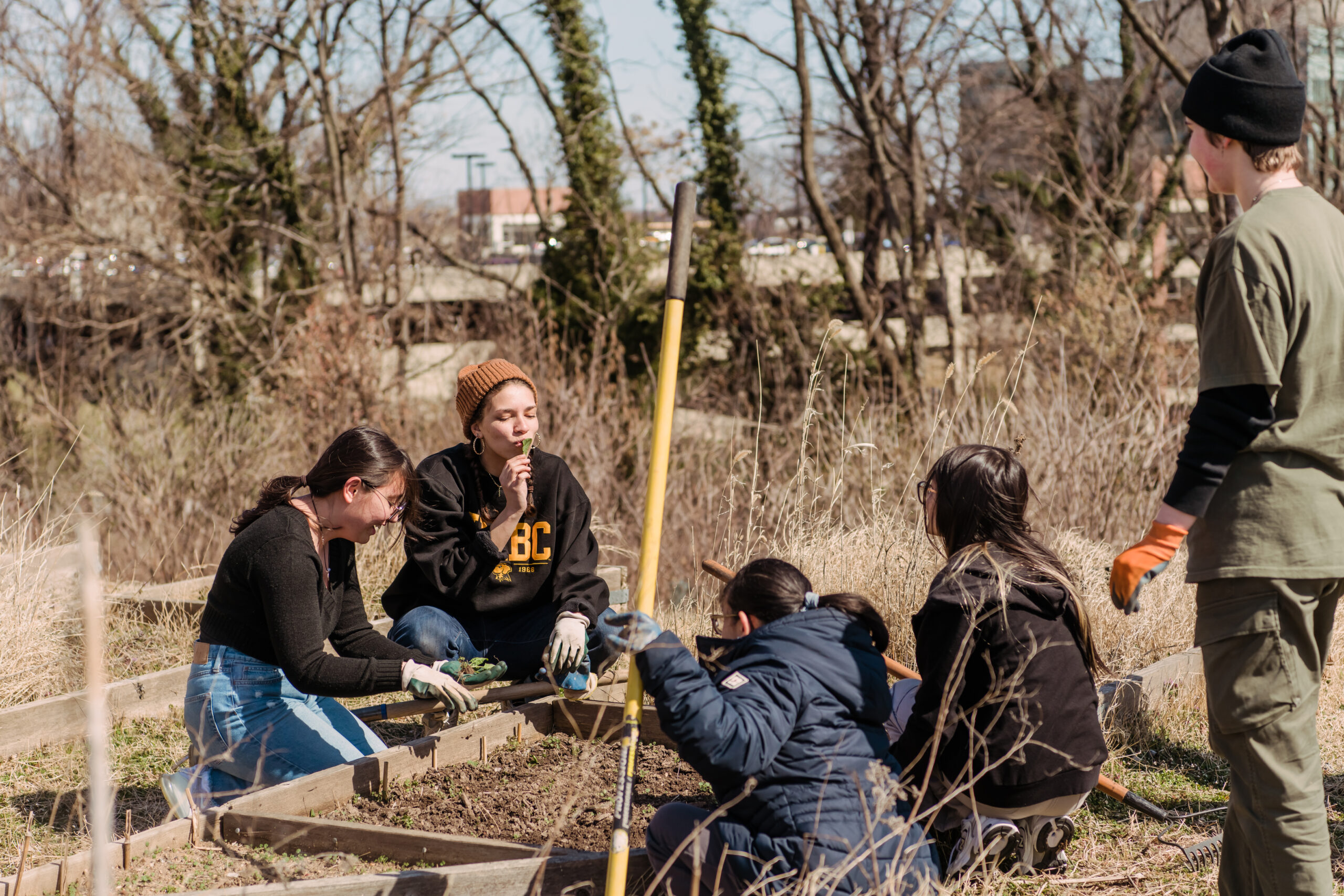 a group of young people gather around a garden plot, working the soil