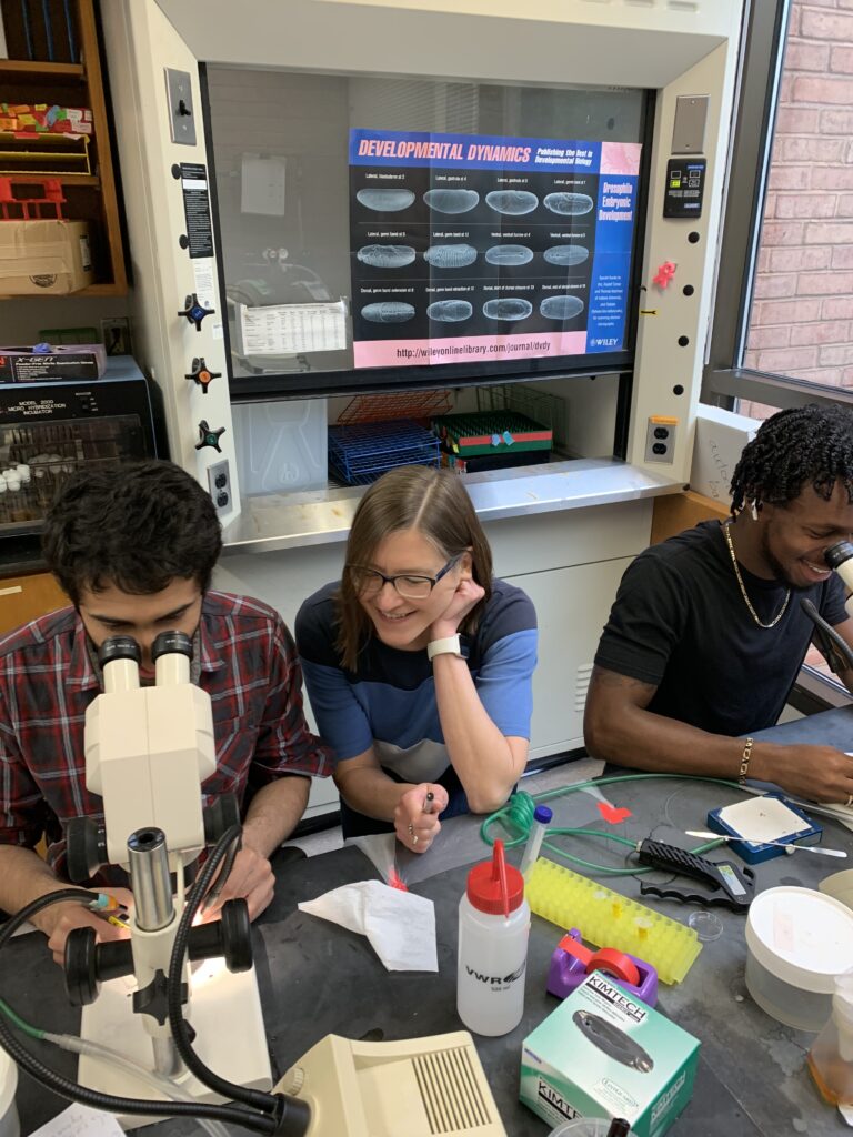 two students sit at a lab bench looking into microscopes; Starz-Gaiano sits between them