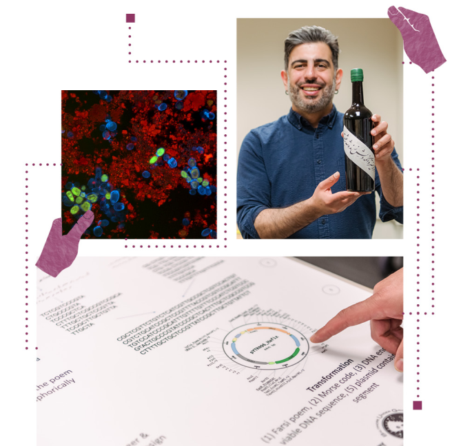 Visual featuring a portrait of a man holding a wine bottle, a microscopic image of cells, and a closeup of a chart.