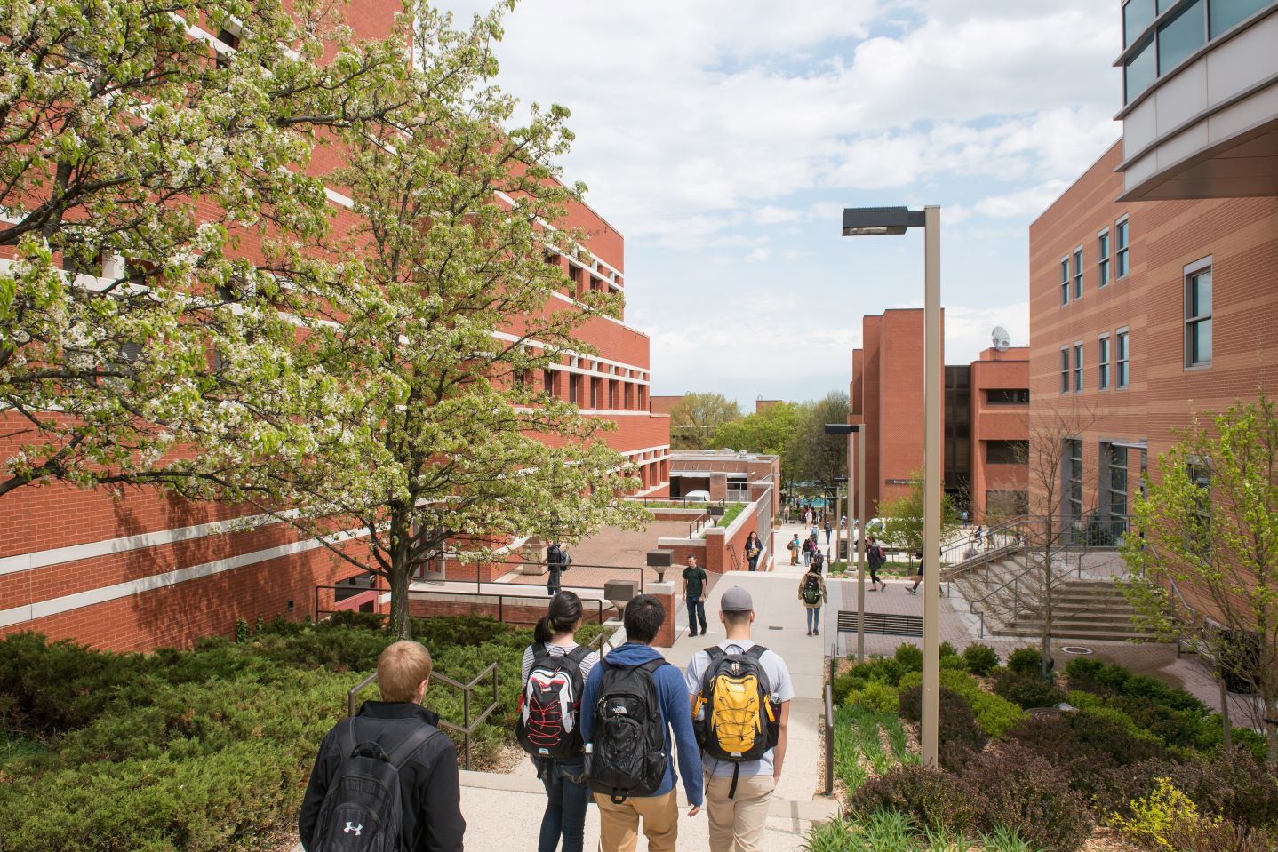 Students walk between academic buildings.