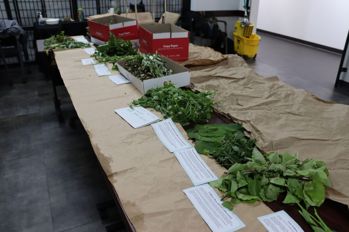 a table covered in brown paper with piles of plant material on it, each with a white card with typed information on it