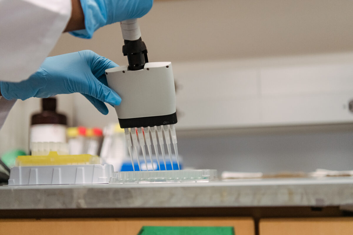 gloved hands using a multi-pipetter at a lab bench