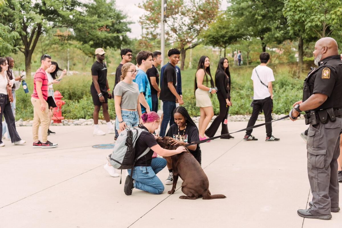 Students crouch down petting a chocolate Labrador Retriever while student process in a line behind them
