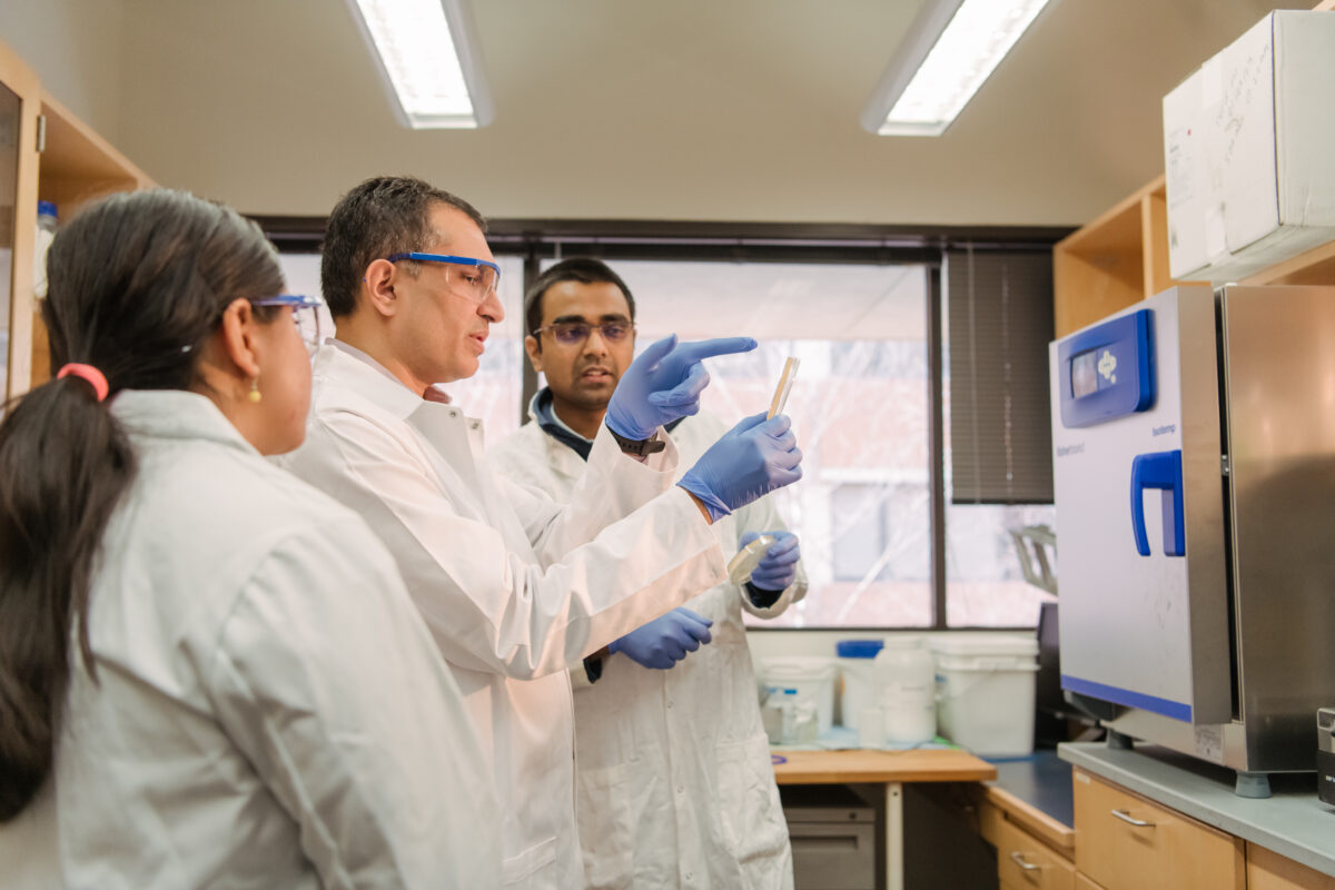 three researchers studying RNA viruses in white lab coats look at a petri dish held by one of them in a brightly lit laboratory