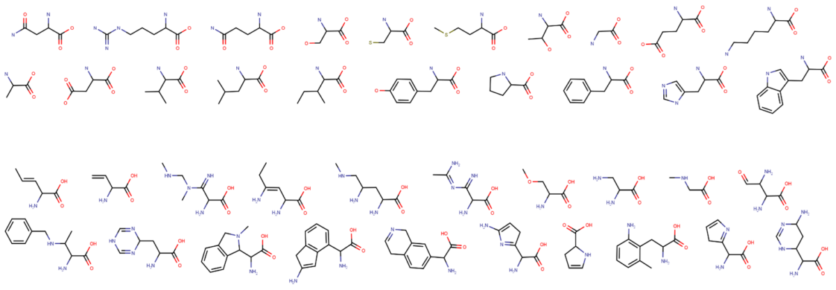 two rows of chemical structures represented by solid lines for each bond; atoms are presumed at each vertex