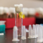 a glass vial with fruit flies inside and about a dozen eppendorf flasks on a black countertop; many more vials in a red plastic holder in the background, and more eppendorf flasks in a teal container.