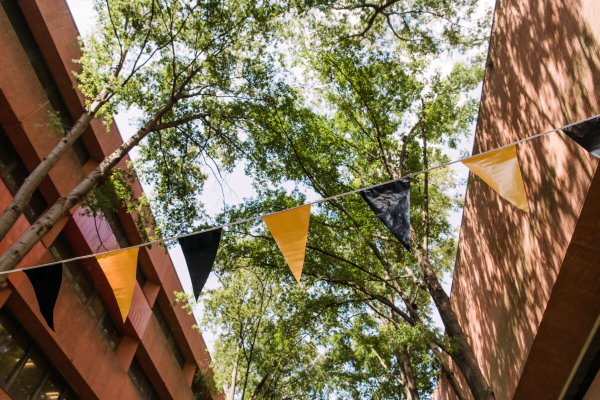 black and gold flags span across academic row