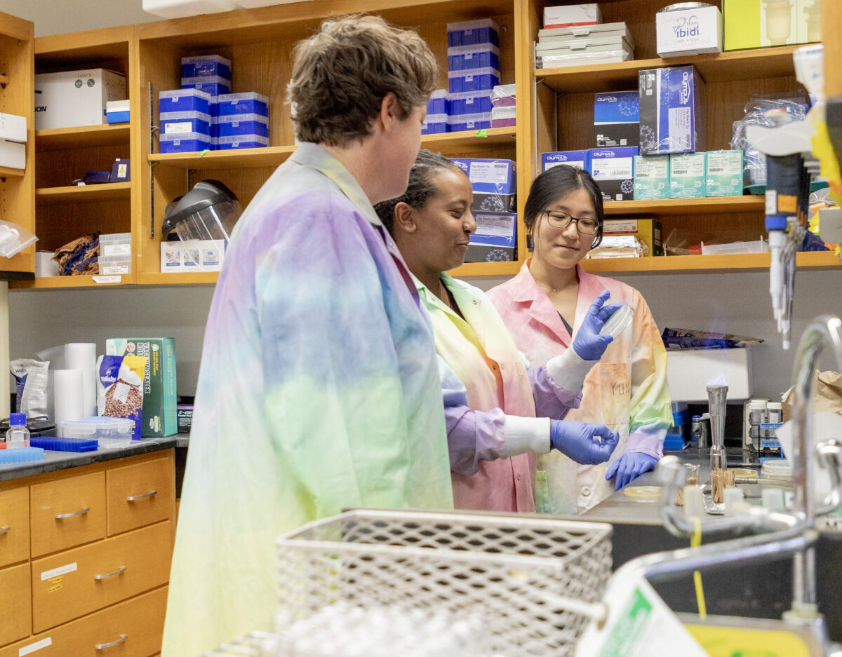three scientists in tie-dye lab coats looking at a petri dish in a busy lab