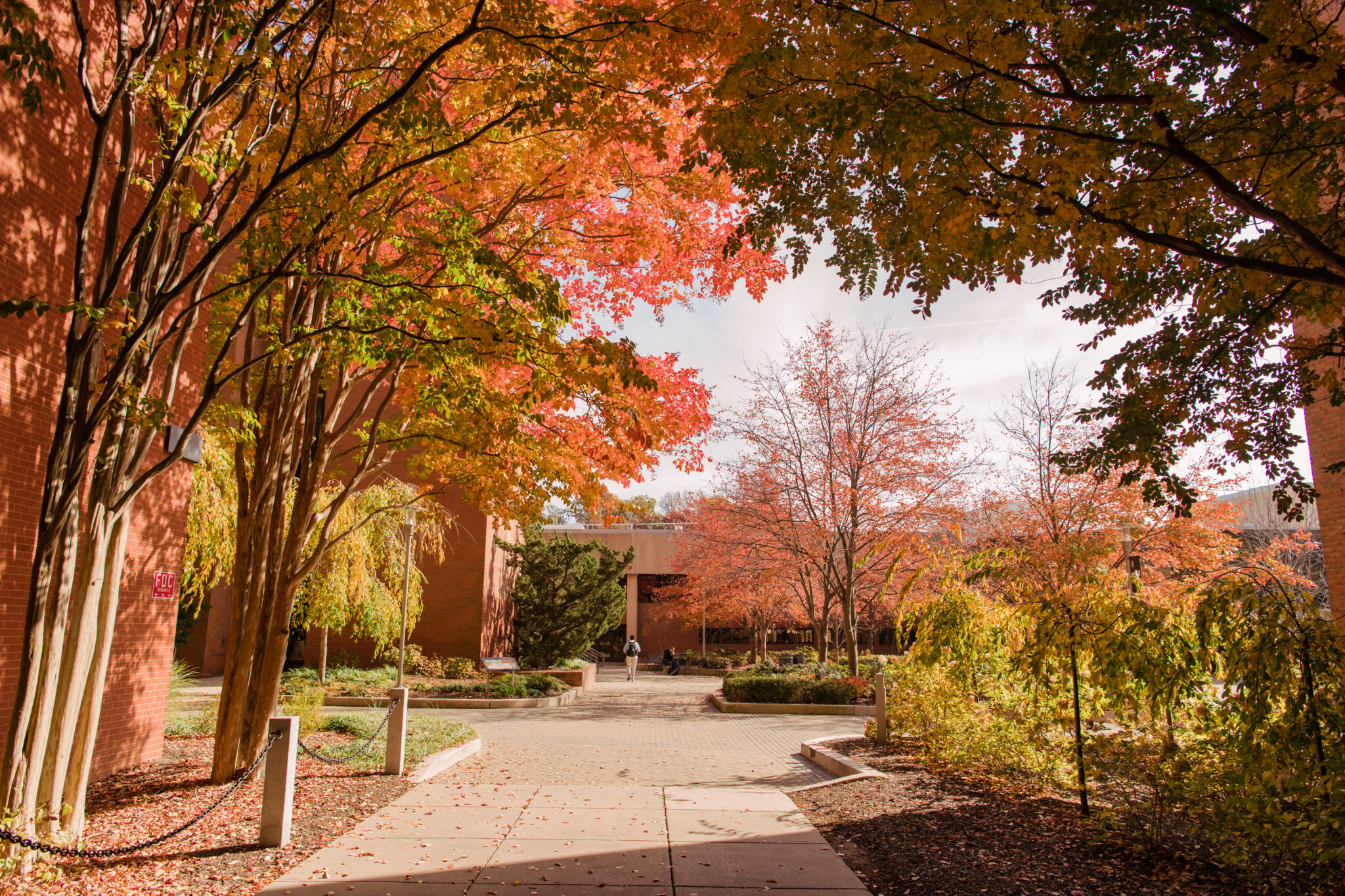 Top 6 Ways To Celebrate (a Slightly Spine-chilling) Autumn At UMBC ...