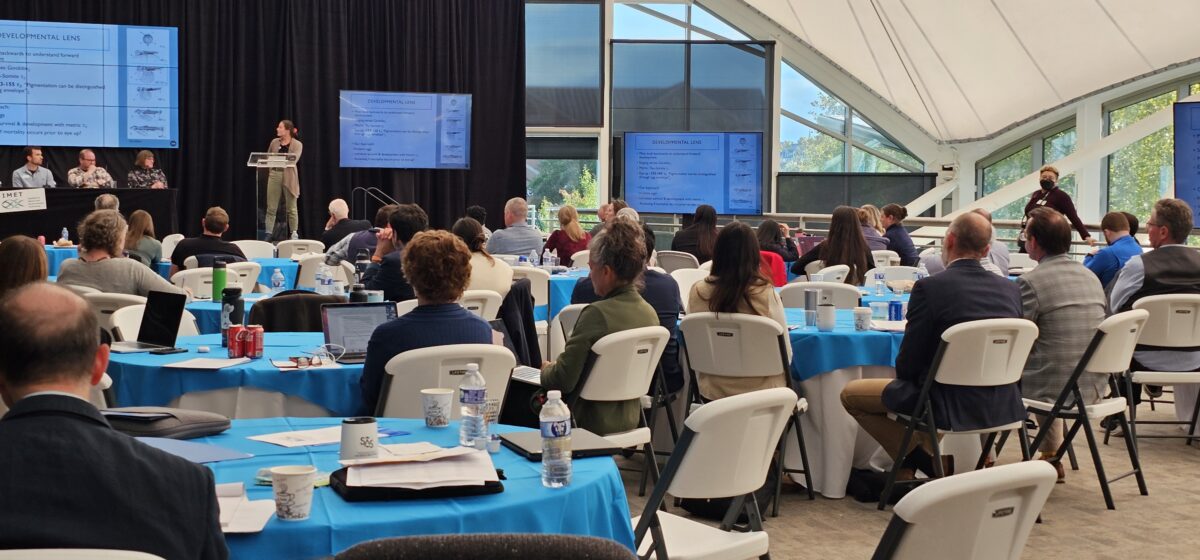 Open, naturally lit atrium with round tables with ocean blue tablecloths filled with people. Screens and podium at the front of the room; someone is presenting.