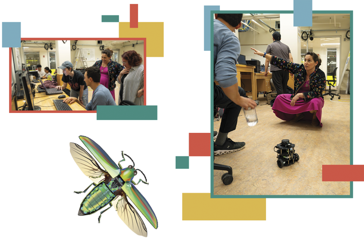A photo collage of Feller teaching in a robotics class, and a green insect illustration.
