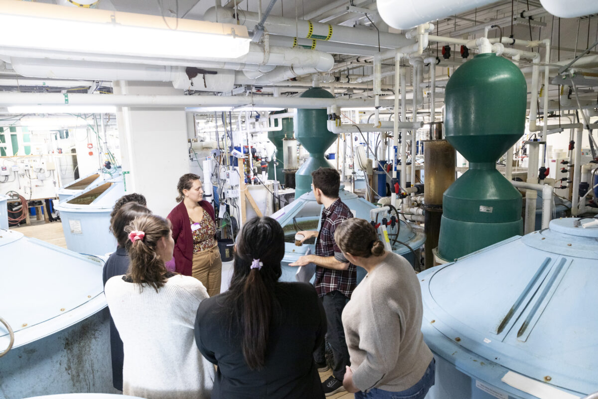 Small group standing amid large water tanks in a large indoor space (the Aquaculture Research Center) with white pipes going everywhere