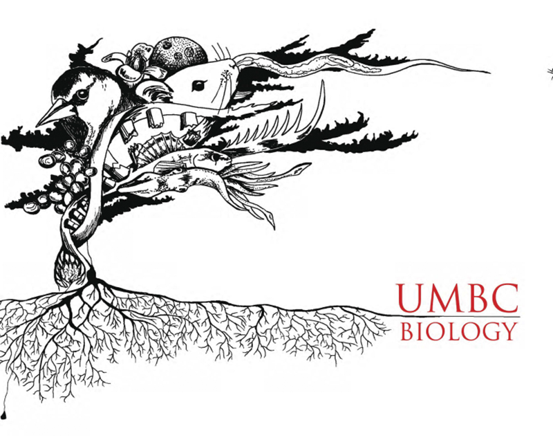Illustration of animals and biological organisms, symbolically tied together as a tree, with roots growing beneath. Red text reads, "UMBC Biology"