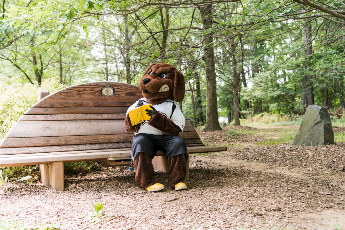 True Grit, a mascot, sits on the Nature Sacred bench in the park writing in a journal