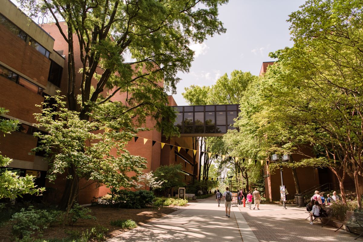 Students walk between brick academic buildings. Trees with leaves line walkway.