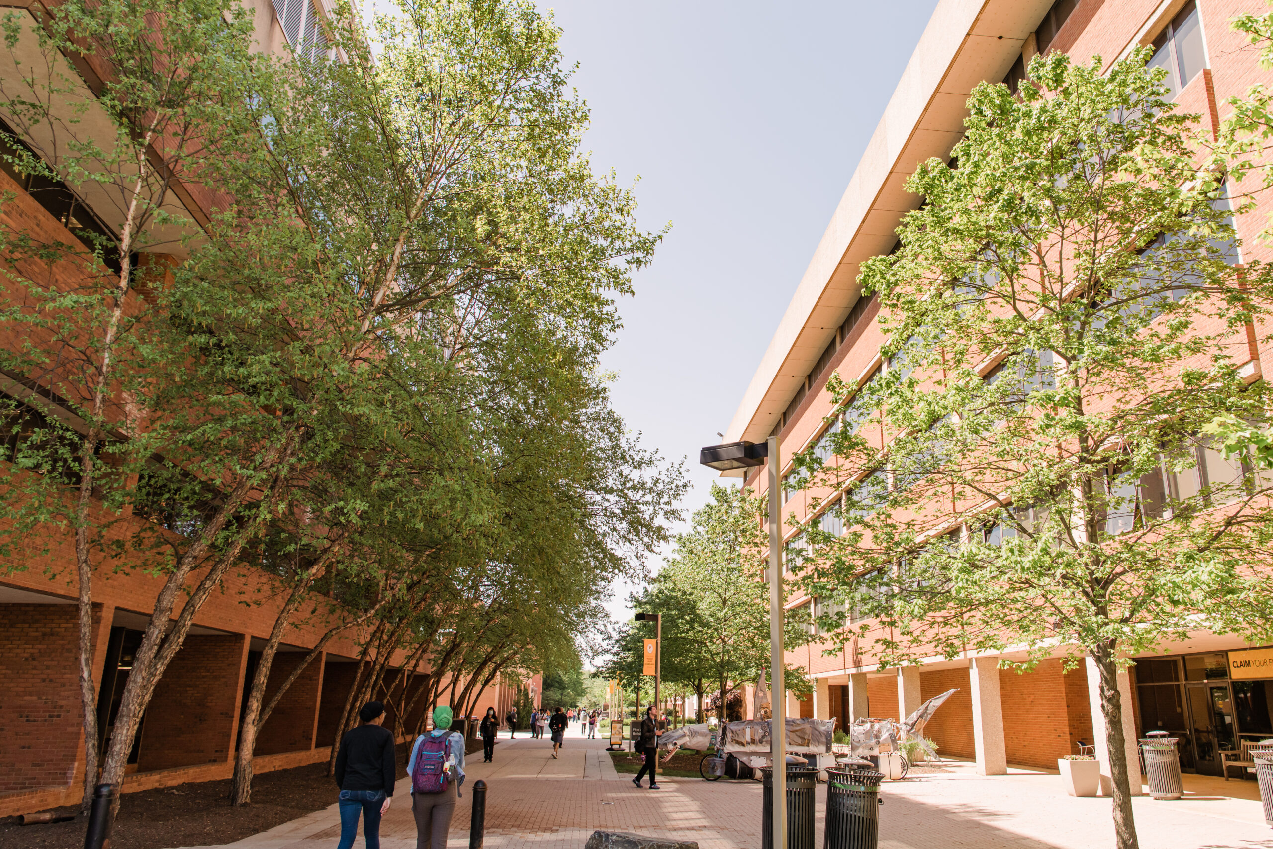 Green trees line brick academic buildings as students walk on campus