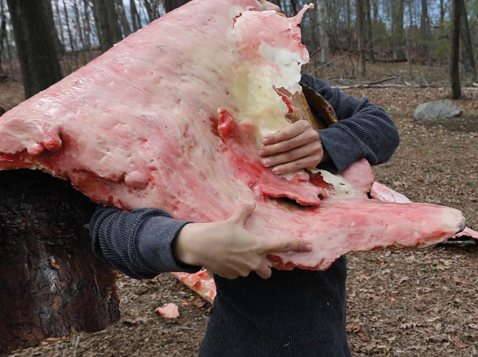 A photograph from Rezaei’s three-hour performance “The Tongue in the Landscape” at the Joseph Beuys Sculpture Park featuring the artist laboriously peeling the wax layer off the pieces of bark. Photo courtesy of Rezaei.