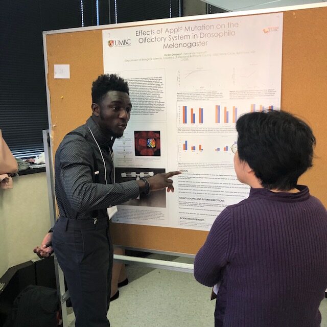 student stands next to a research poster, explaining it to a professor facing him