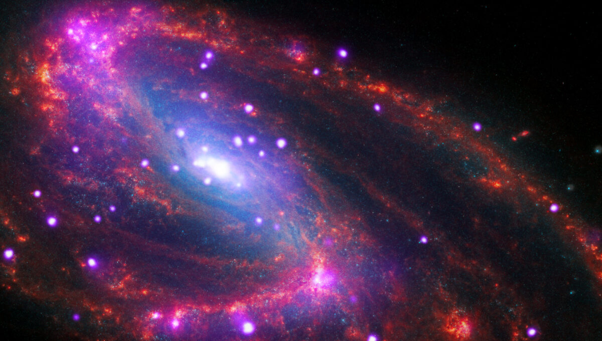 A hazy image of a spiral galaxy known as NGC 3627. Here, the galaxy appears pitched at an oblique angle, tilted from our upper left down to our lower right. Much of its face is angled toward us, making its spiral arms, composed of red and purple dots, easily identifiable. Several bright white dots ringed with neon purple speckle the galaxy. At the galaxy’s core, where the spiral arms converge, a large white and purple glow identified by Chandra provides evidence of a supermassive black hole.