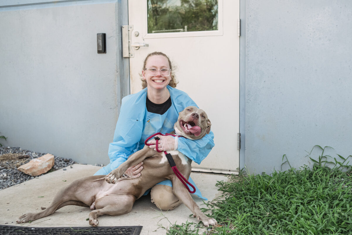 A girl with curly hair wearing a surgical gown and gloves sits down on a sidewalk holding a pitbull mix in her lap while both smile 