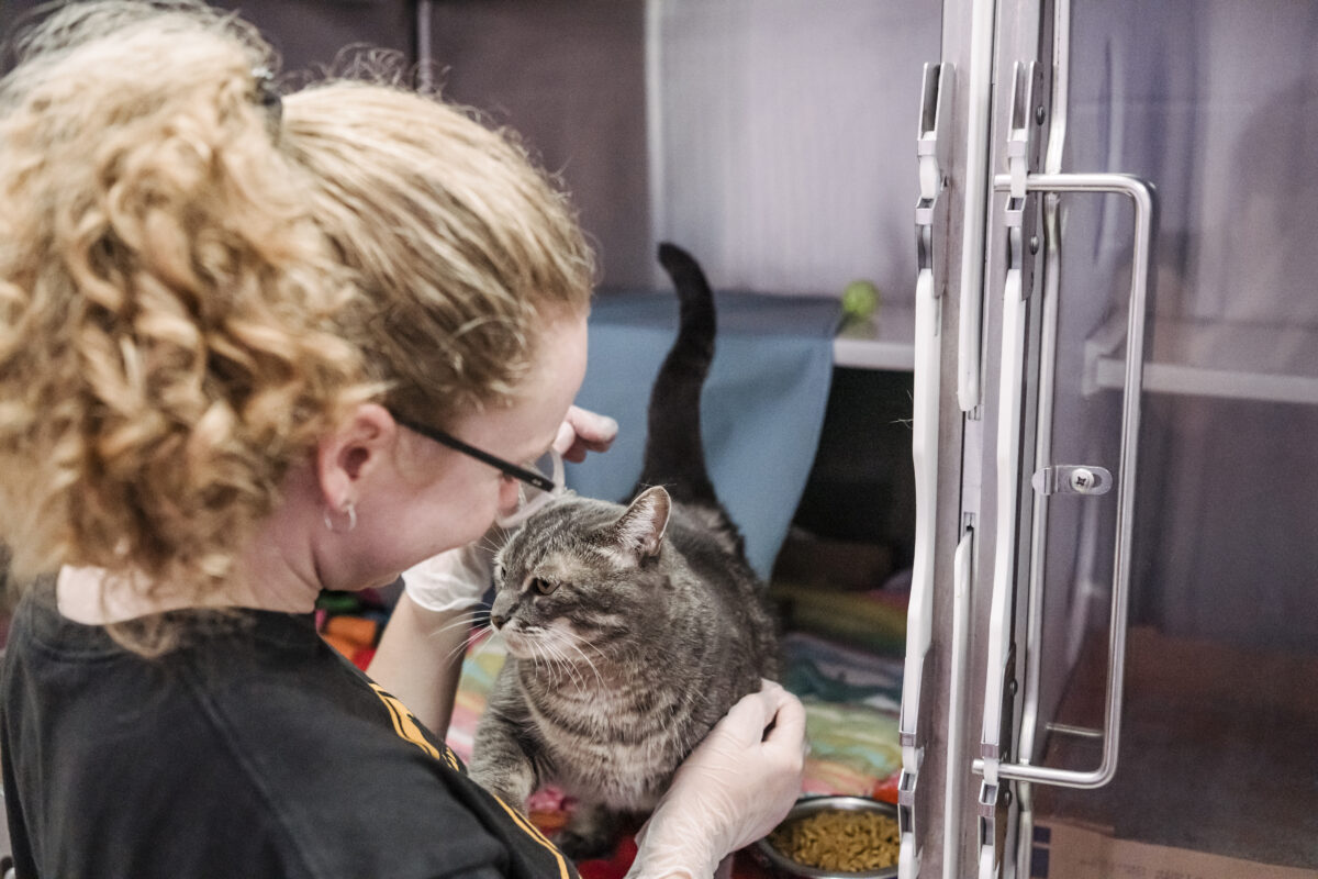 A female student with curly hair in a ponytail pets a cat from inside an open cage