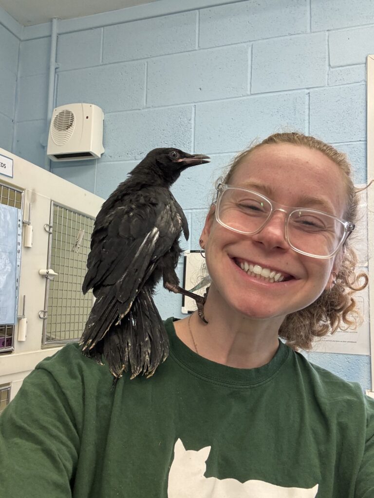 A girl wearing glasses with curly hair in a ponytail smiles with a black bird on her shoulder