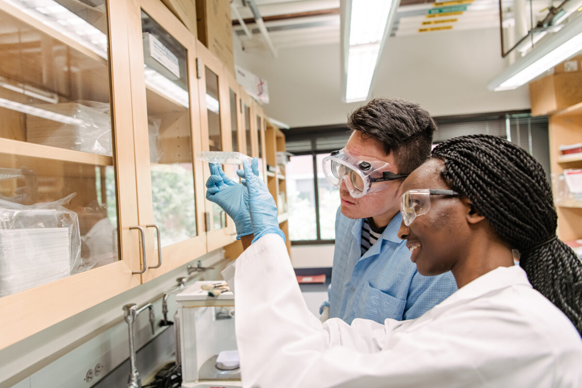 two people in lab coats, gloves, and goggles look at a clear well plate held up to eye level in a brightly lit laboratory