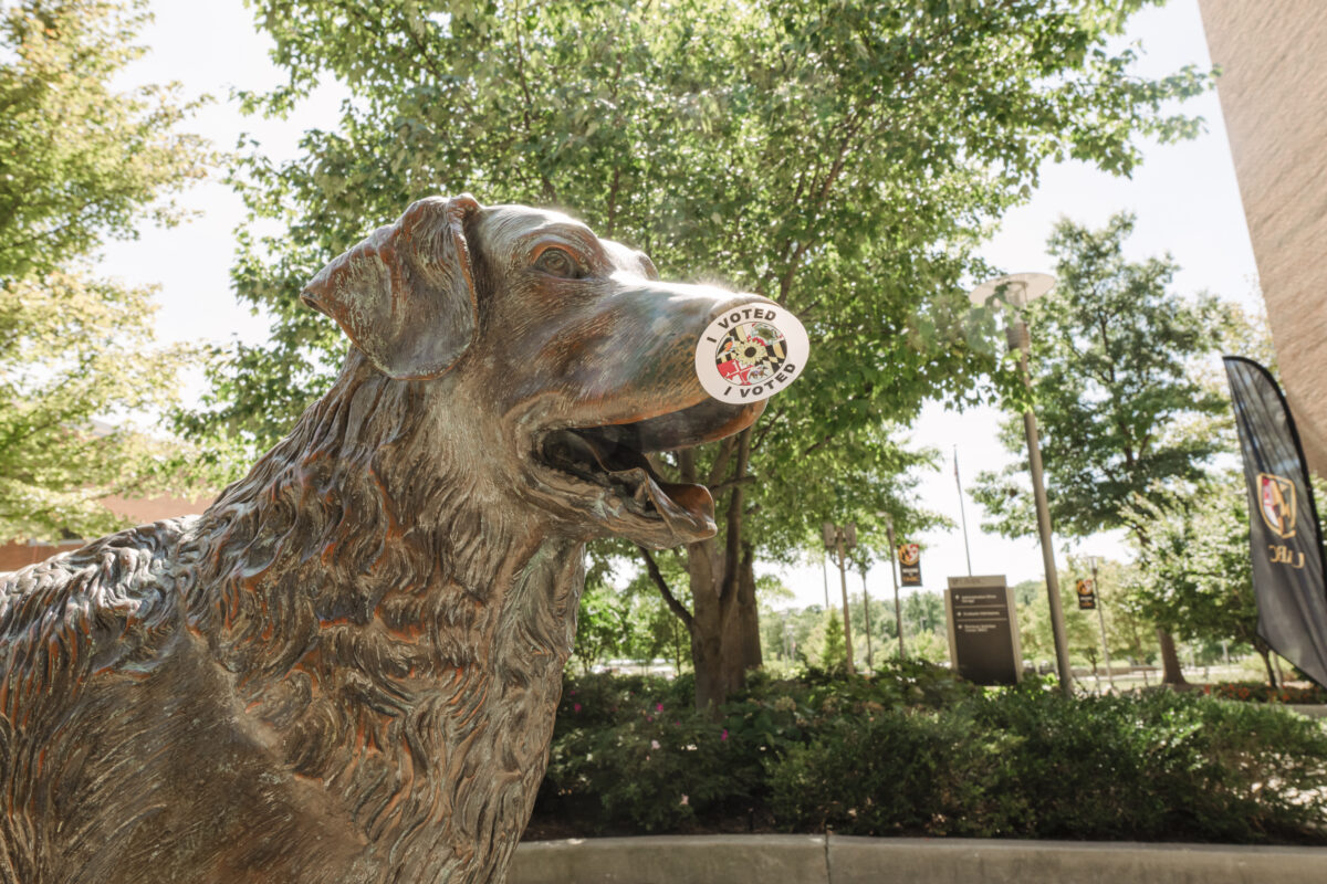 a bronze statue of a dog has a voting sticker on its nose