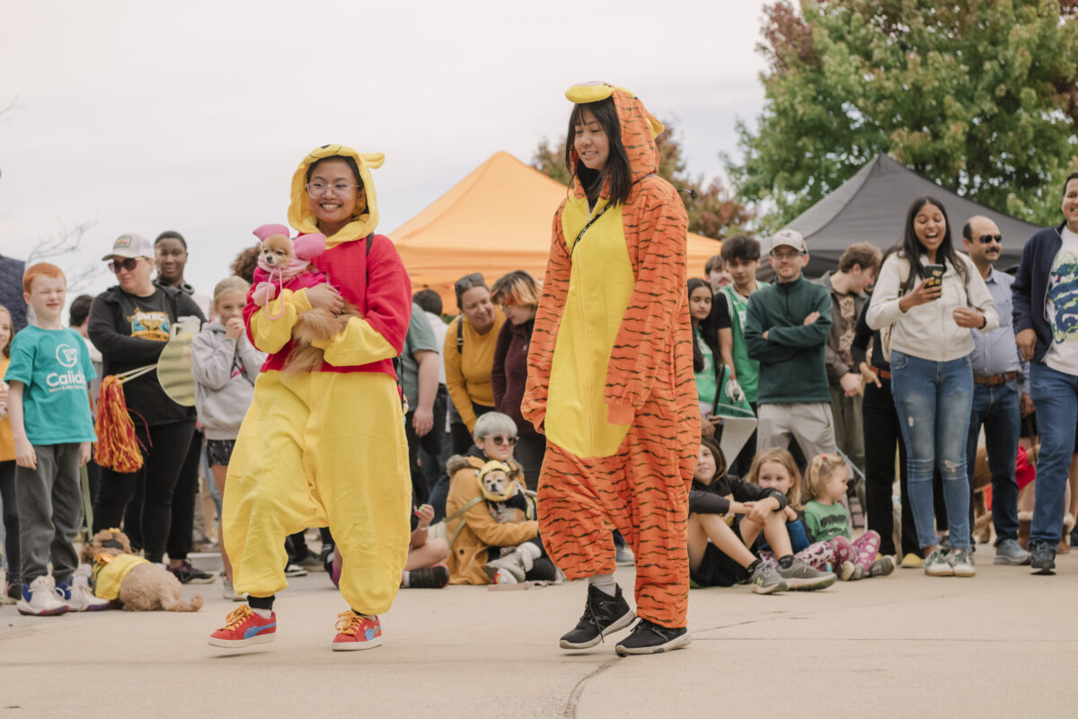 two people dresses as winnie the pooh (left) and tigger (right) with their dog dressed as piglet. 