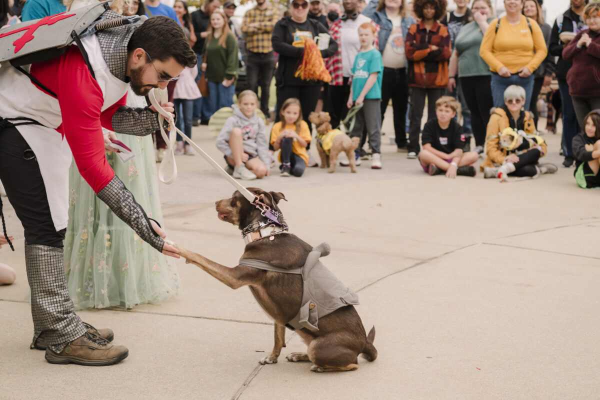 a person dresses as a knight holding out his had for his dog's paw. the dog is dressed as a knight's horse. 