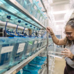 woman inserts a clear plastic container holding water and small fish into a holder within a rack of many such containers that appear light blue